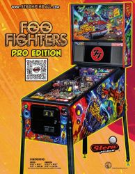 Foo Fighters Pro Flyer